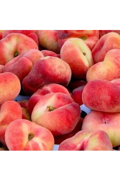 Стиглі персики Sweet Cap рожево-золотистого кольору